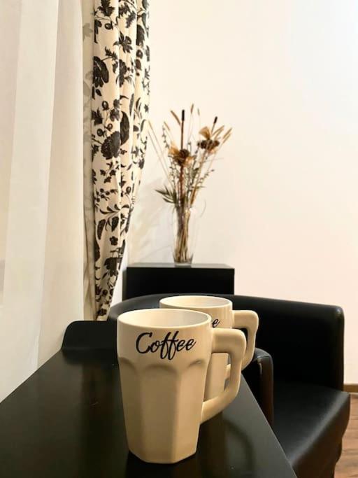 Harmony Homes- Piata Unirii Central Apartament Тимишоара Экстерьер фото