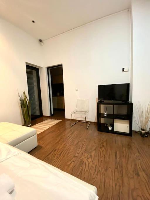 Harmony Homes- Piata Unirii Central Apartament Тимишоара Экстерьер фото