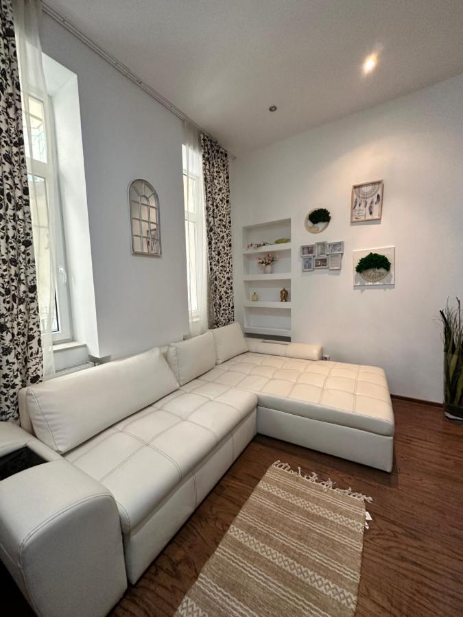 Harmony Homes- Piata Unirii Central Apartament Тимишоара Экстерьер фото